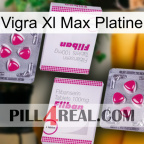 Vigra Xl Max Platinum 33